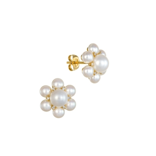 Pearl&Diamonds Earrings