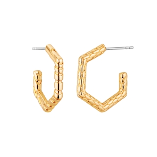 Earrings Just Cavalli Logo