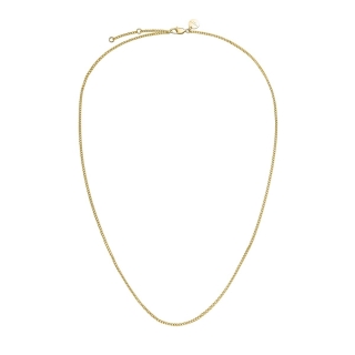 Necklace Rosefield Flat Curb Gold