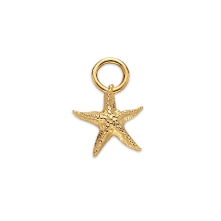 Paul Hewitt Charms Starfish Charm Gold